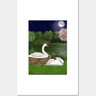 Swans nesting by moon light romantic nature Posters and Art